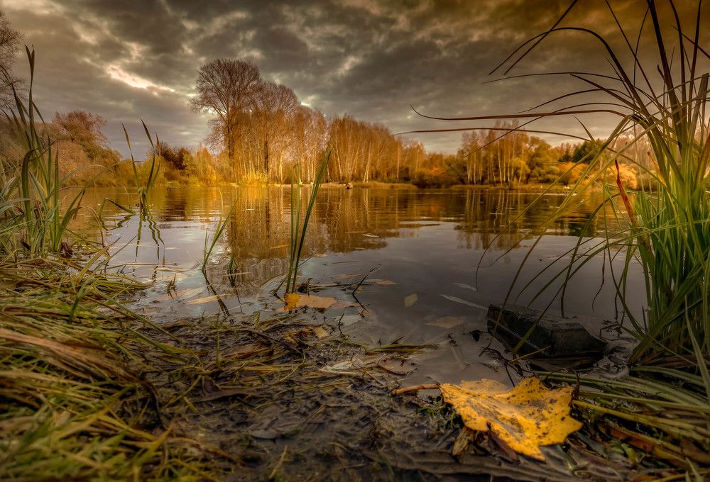 Photograph by Александр Разумов