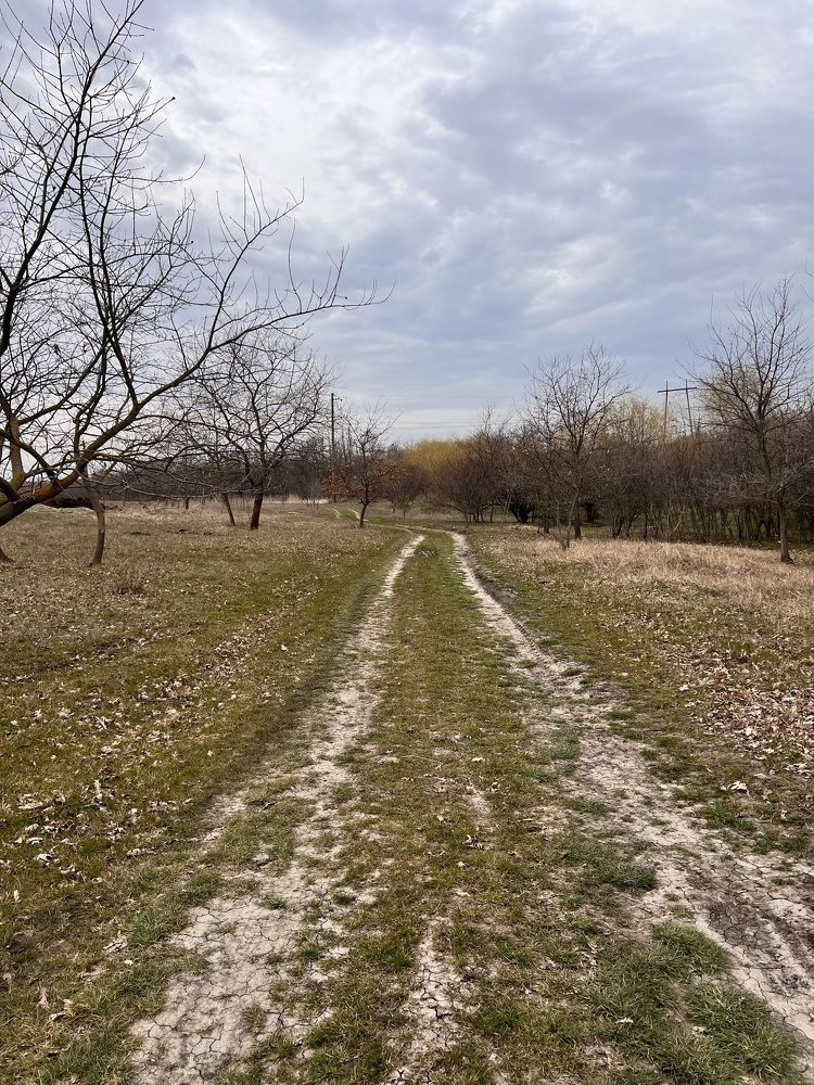 Photograph by Елена Громова