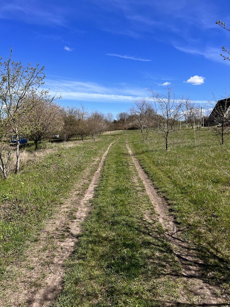 Photograph by Елена Громова