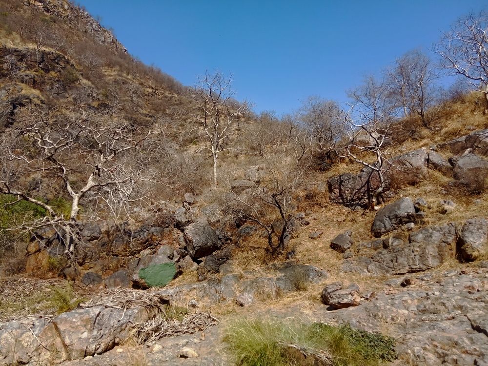 Photograph by Ritu Dinkar