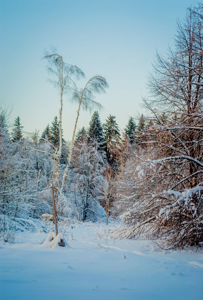 Photograph by Ольга Заповедная