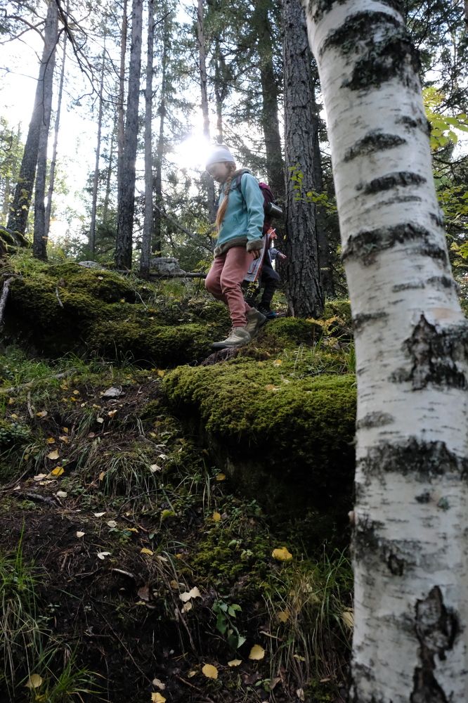 Photograph by Артём Воронин