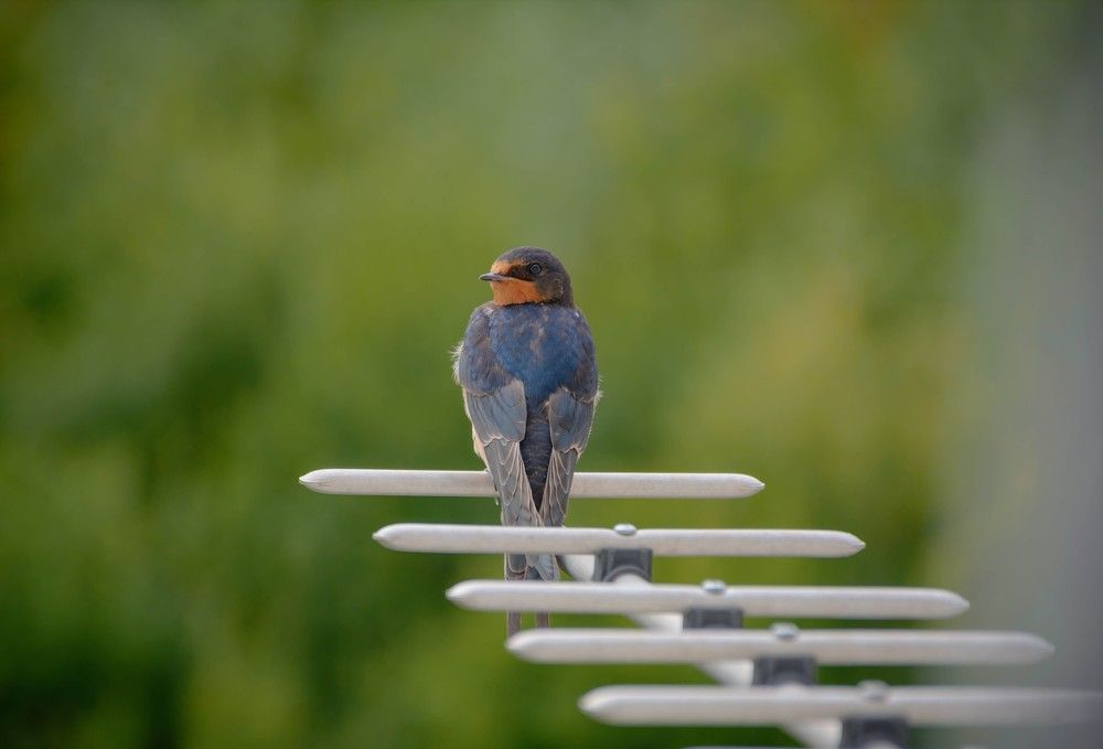 Photograph by Елена Царёва