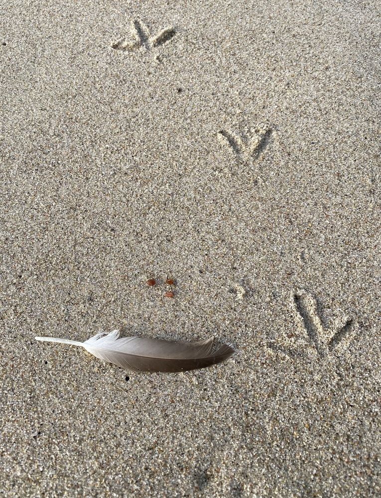 Photograph by Алиса Лукина