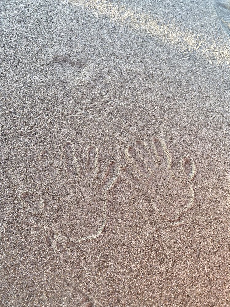 Photograph by Алиса Лукина