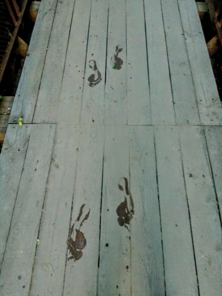 Photograph by Алиса Лукина