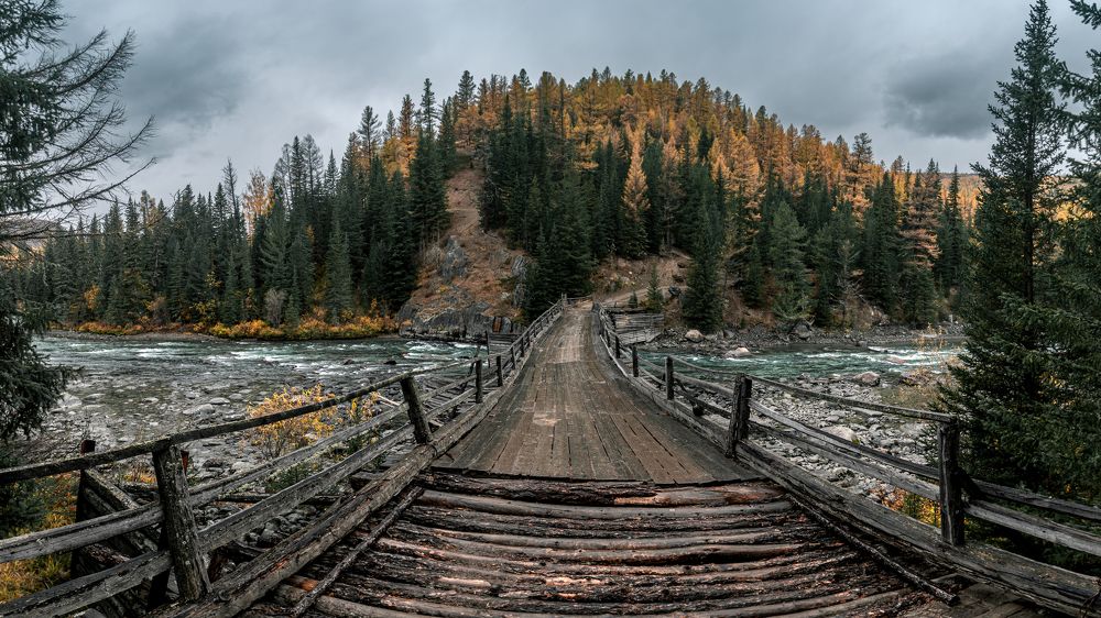 Photograph by Mark Devender