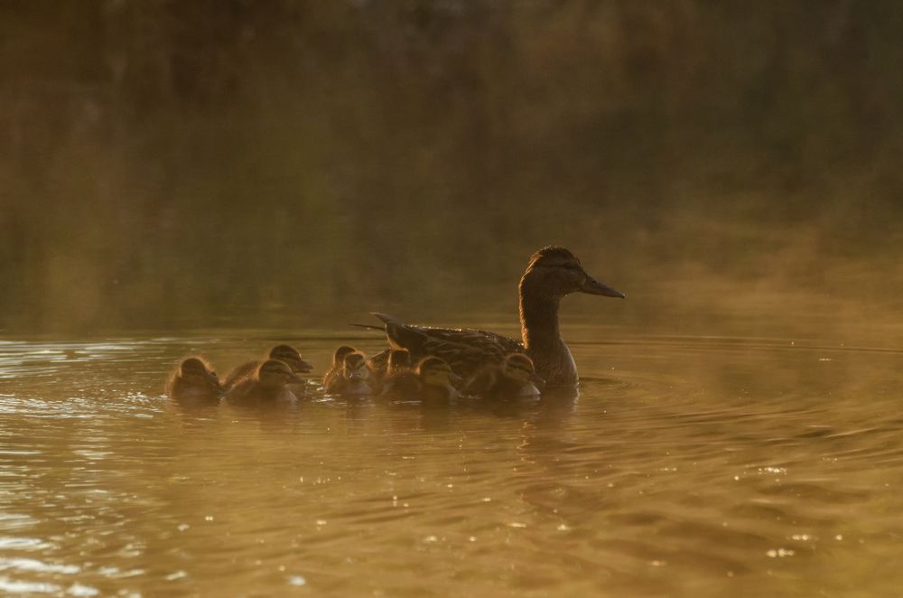 Photograph by Гайдук Евгений