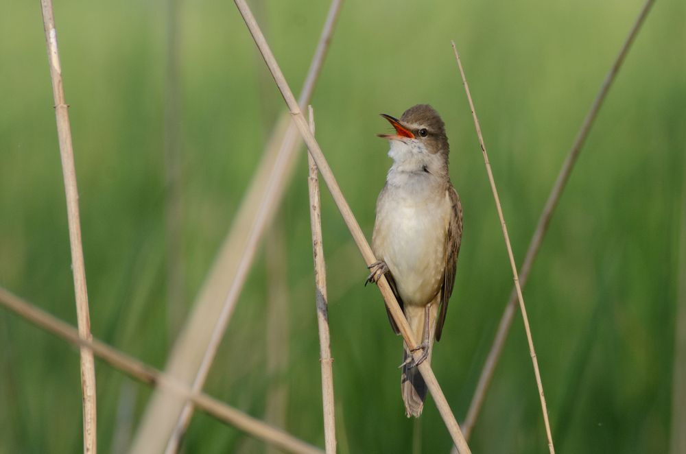 Photograph by Гайдук Евгений