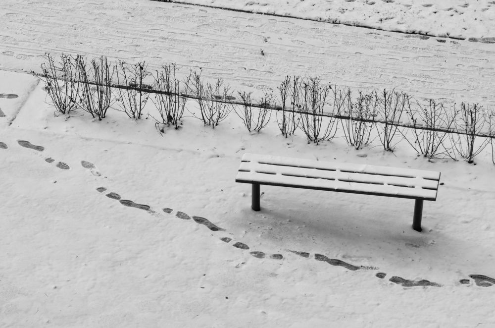 Photograph by Гайдук Евгений