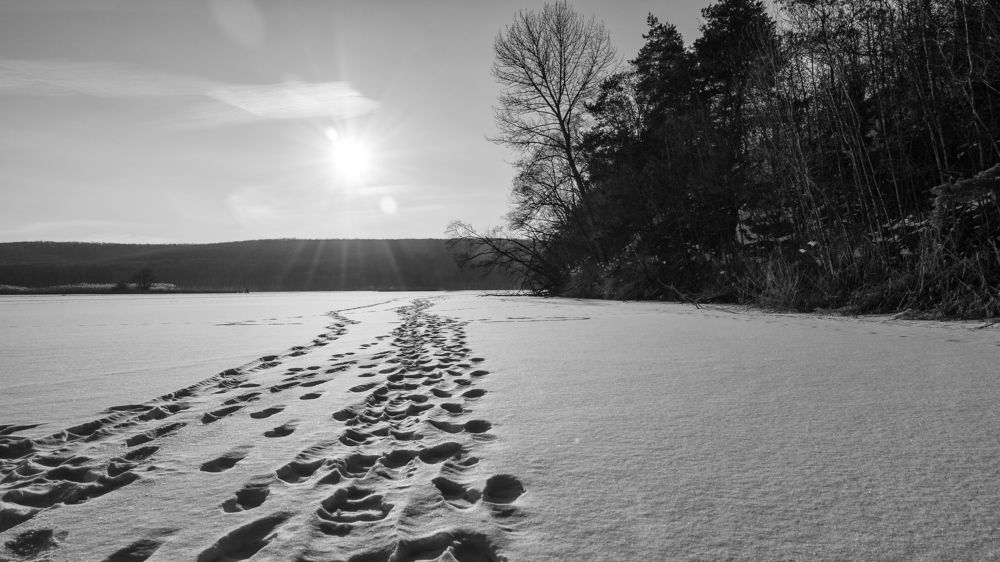 Photograph by Гайдук Евгений