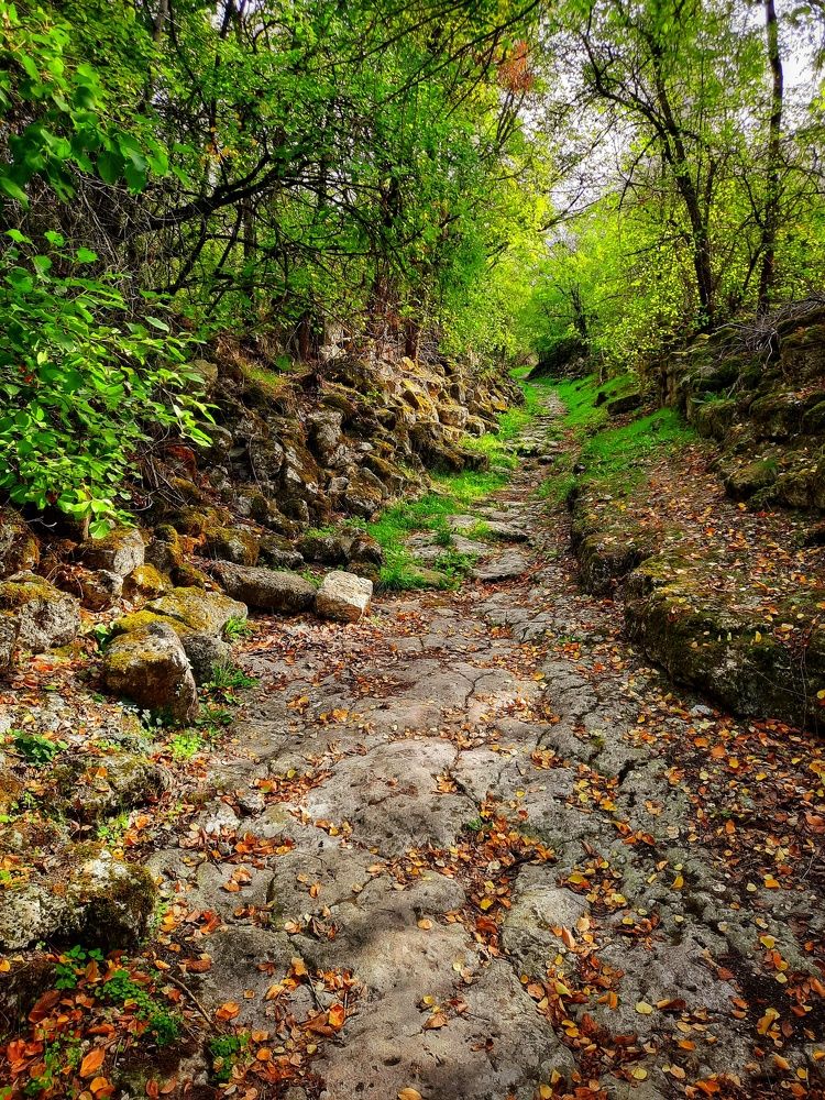 Photograph by Ольга Нагорная