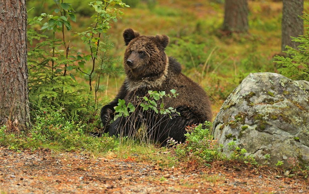 Photograph by Юрий Кетель