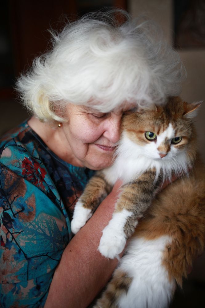 Photograph by Марина Денисова