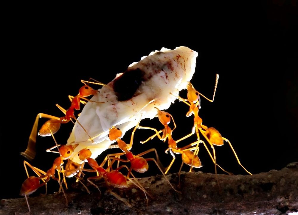 Photograph by nguyên trương