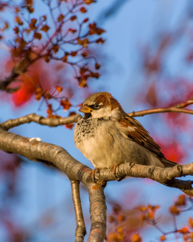 Photograph by Николай Головко