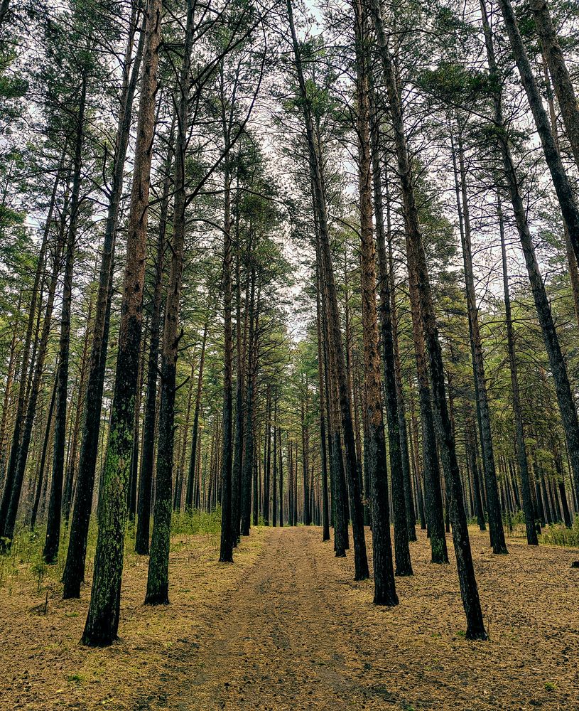 Photograph by Наталья Веряскина