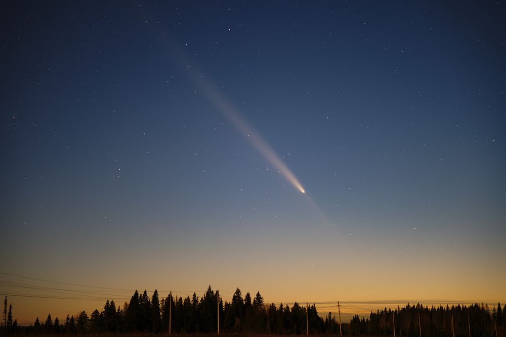 Photo #11252297