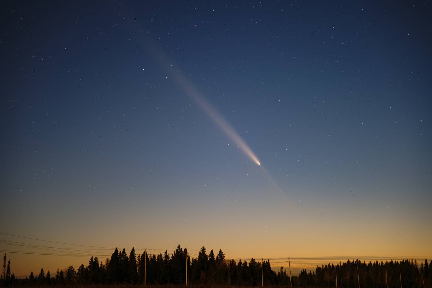 Photo #11252297