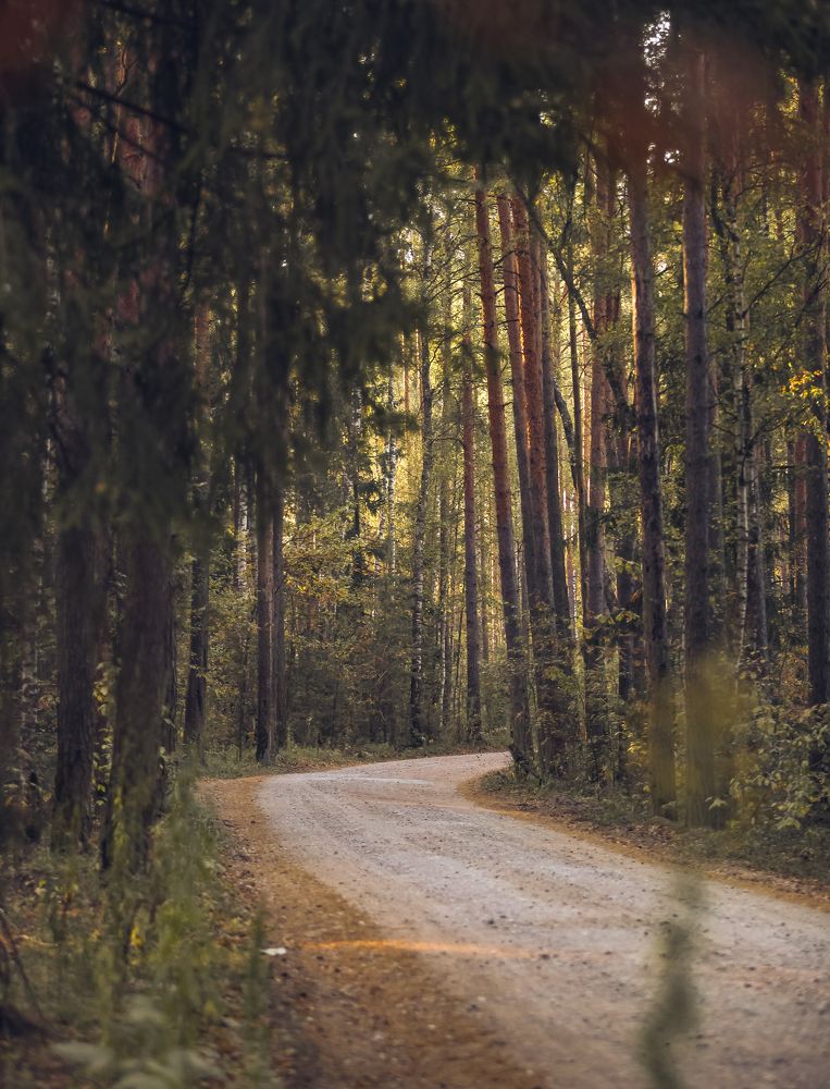 Photograph by Екатерина Колот