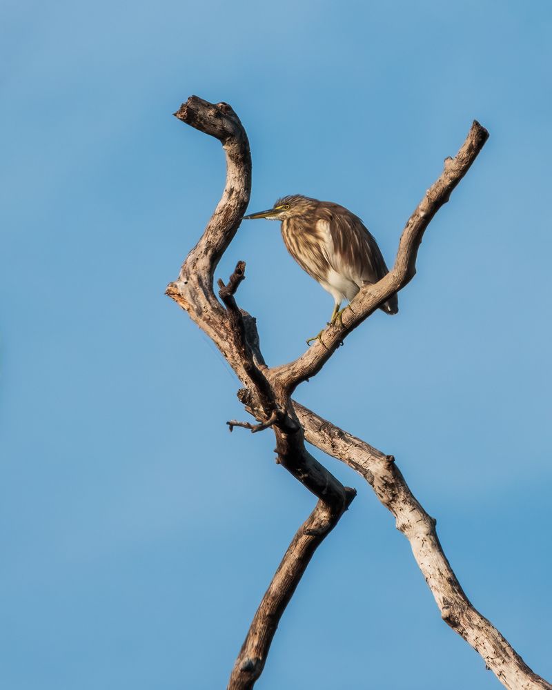 Photograph by Дудников Александр