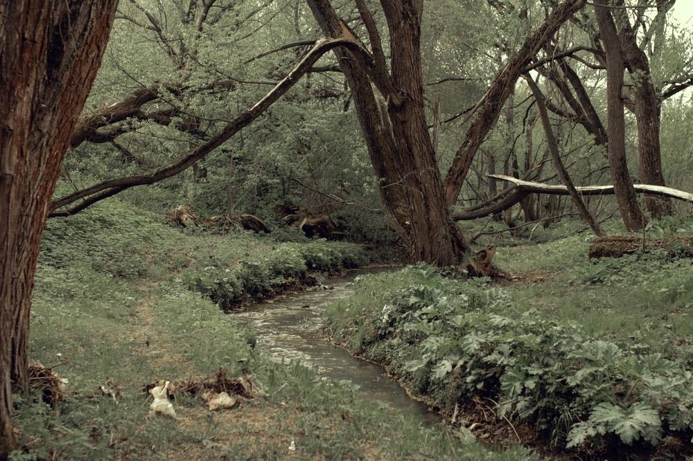 Photograph by Екатерина Колот