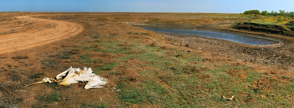 Photograph by Prometej