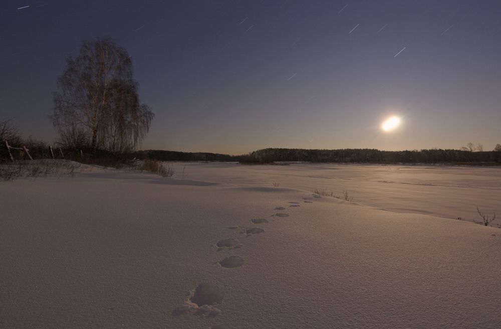 Photograph by Prometej