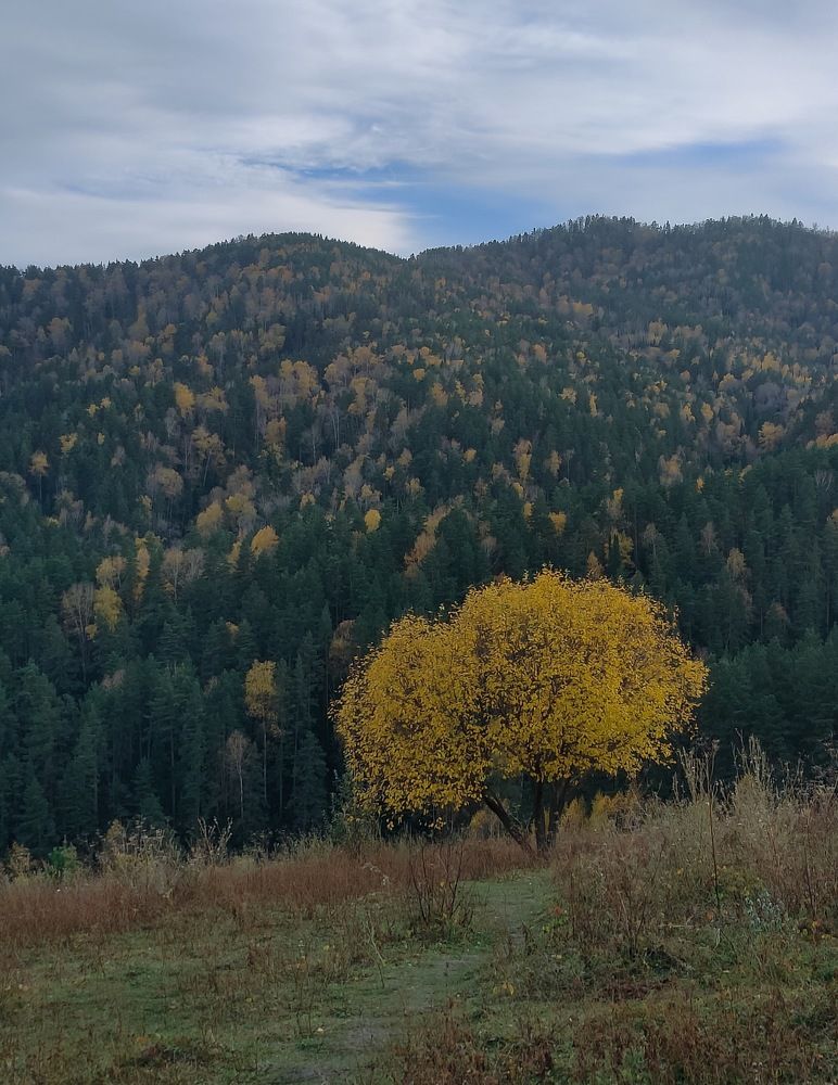 Photograph by Татьяна Гулакова