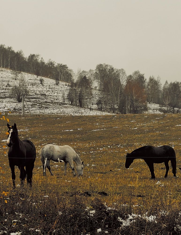 Photograph by Татьяна Гулакова