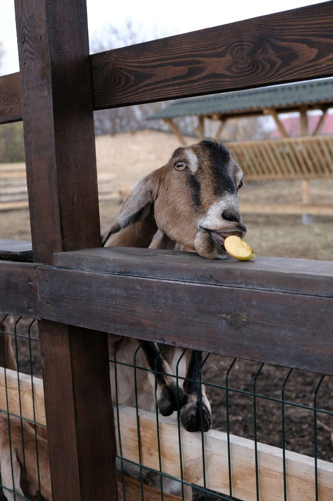 Фотография автора Александров Алексей
