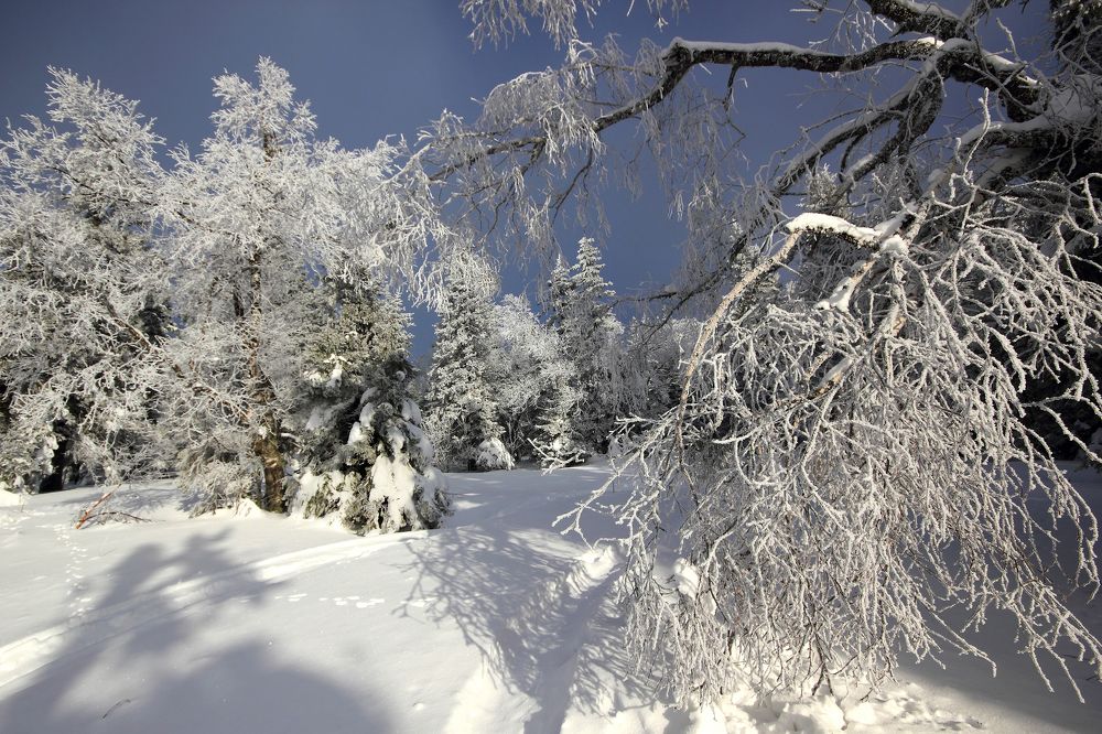 Фотография автора Кухта Мария