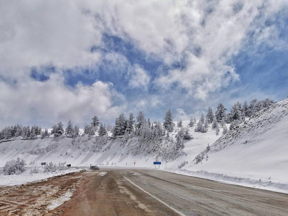 Photograph by Светлана Смирнова