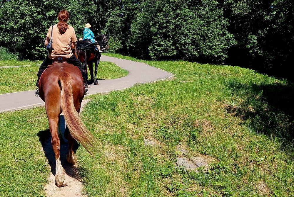 Фотография автора Мария Коледа