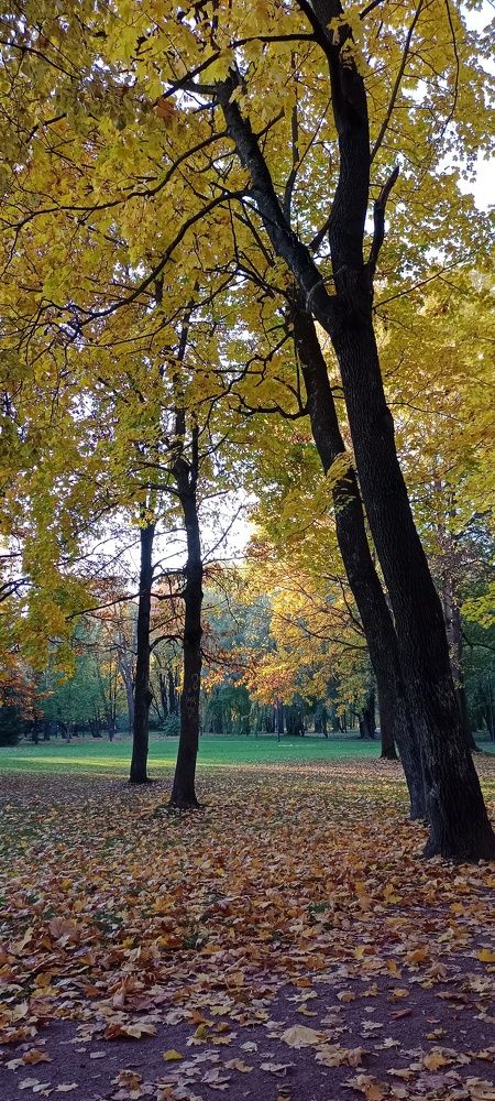 Photograph by Людмила Викулова