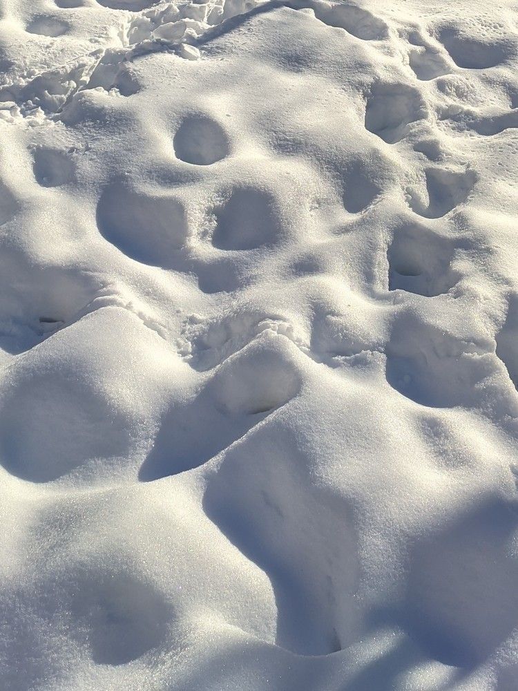 Photograph by Анна Андреевна