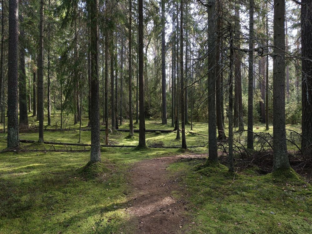 Photo #11252435