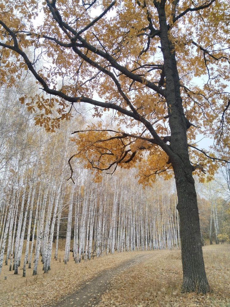 Photograph by Ольга Чернова