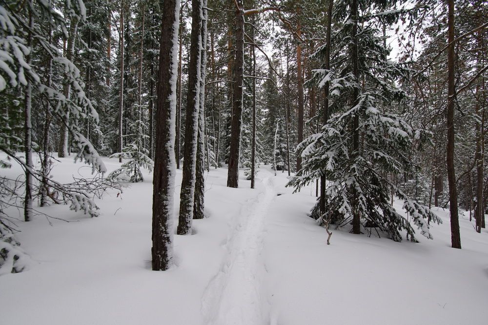 Photograph by Владимир Семиченко