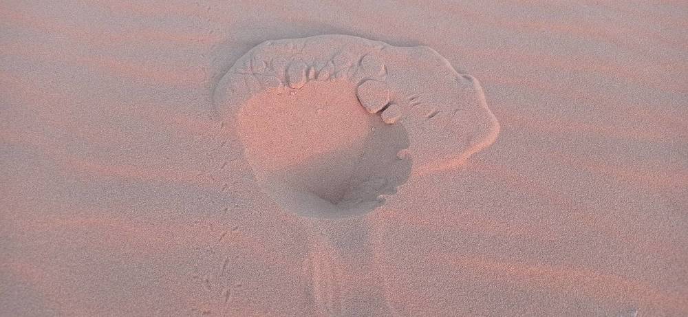 В песках Сахары