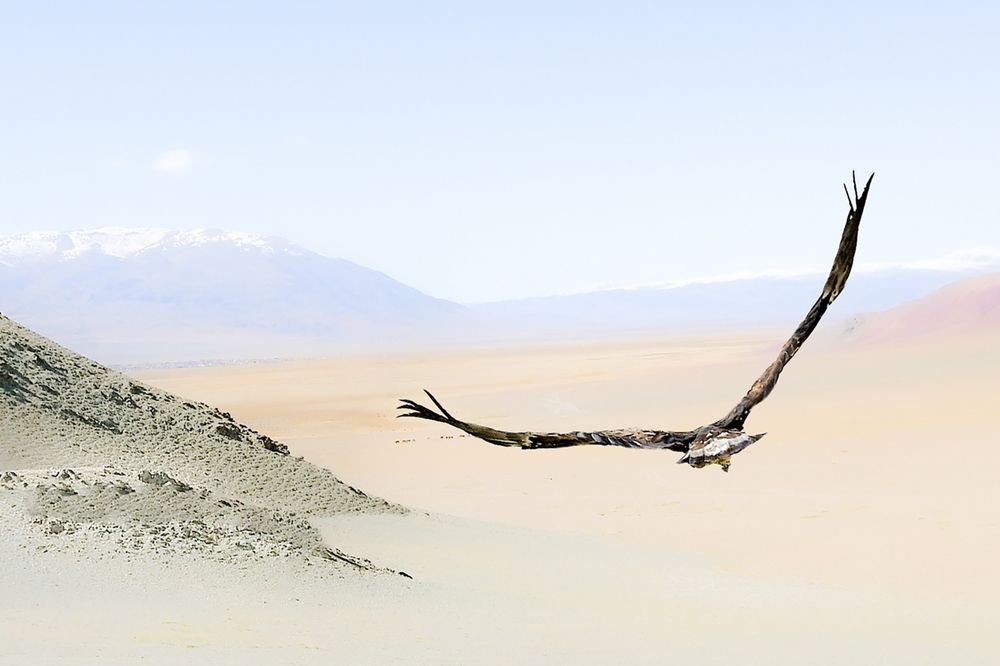 Photograph by Валентин Казанцев