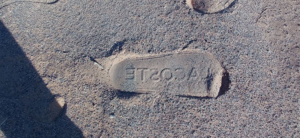 Photograph by Лариса Неудачина