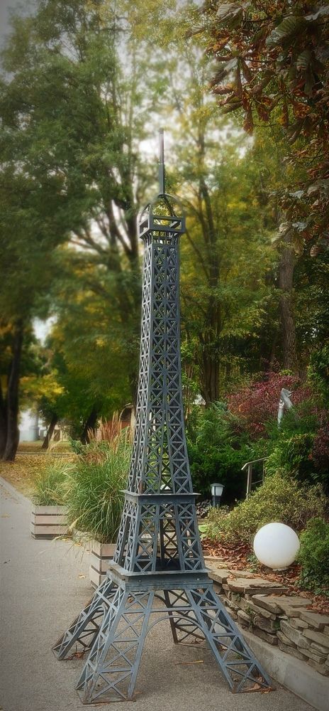 Photograph by Mishel Photographer