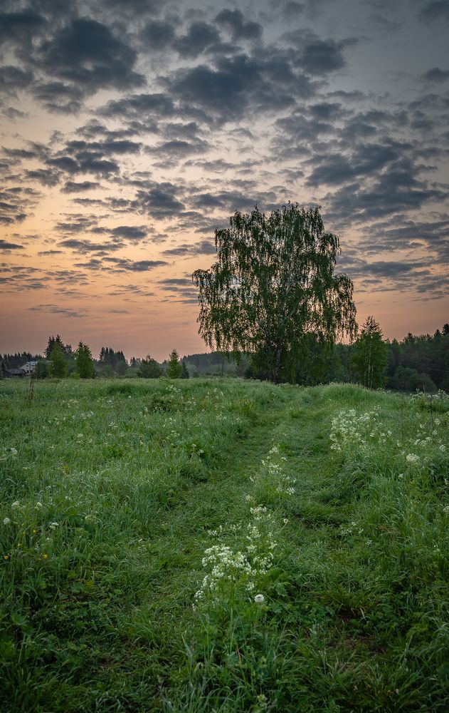 Фотография автора Шуплецов Алексей