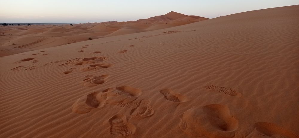 Photograph by Лариса Неудачина