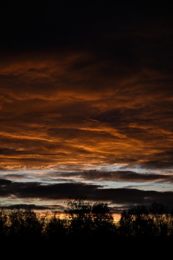 Фотография автора Екатерина Высоцкая