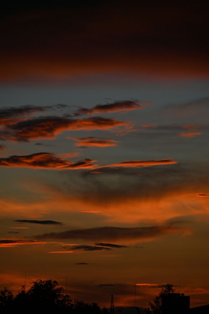 Фотография автора Екатерина Высоцкая