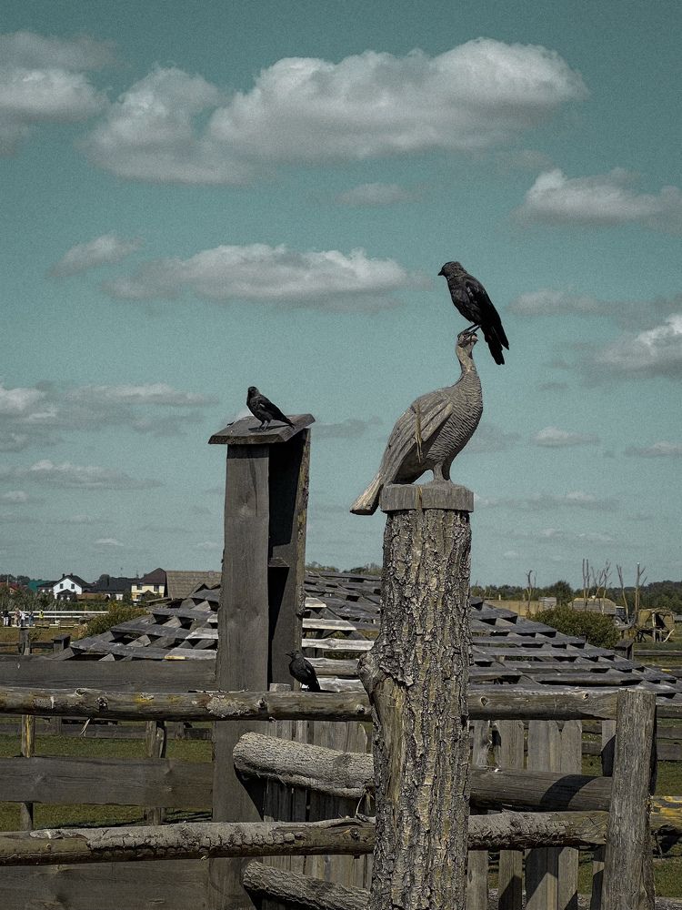 Photograph by Елена Башмакова
