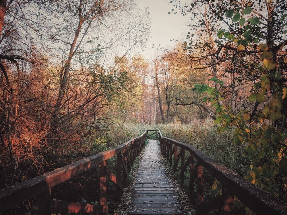 Photograph by Виктория Селютина