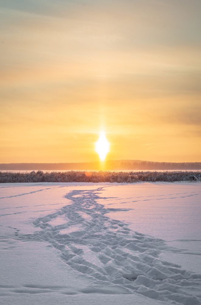 Фотография автора Шуплецов Алексей